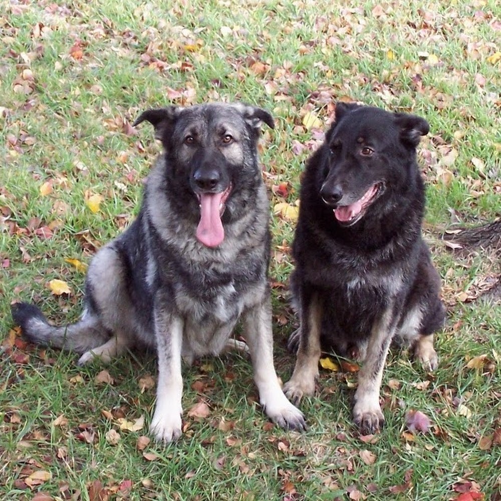 Meet your Posher, Audra